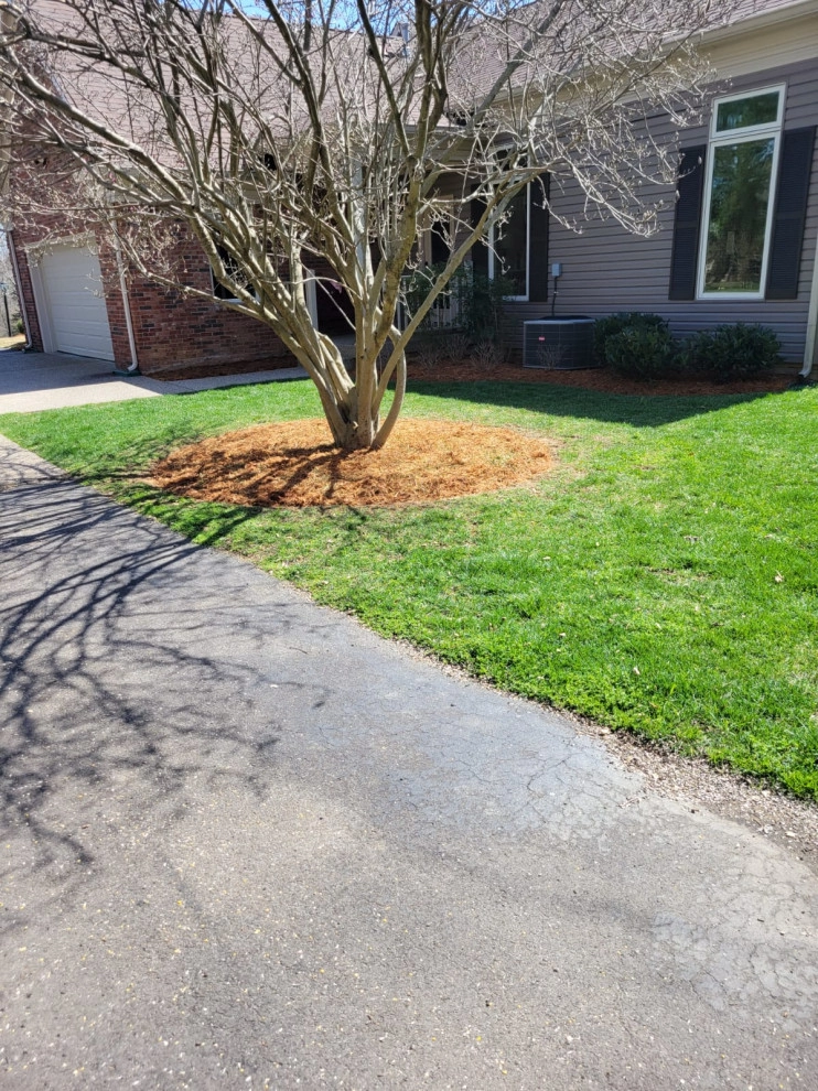 Alberto Alavez Professional Lawn Services LLC 10 by Alberto Alavez Professional Lawn Services LLC - Photo 5