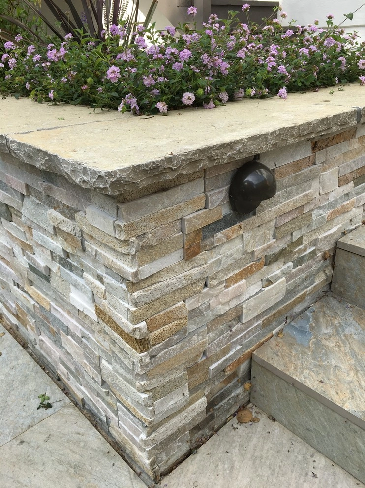 Belmont Back Yard by Greensleeves Garden Design - Photo 5