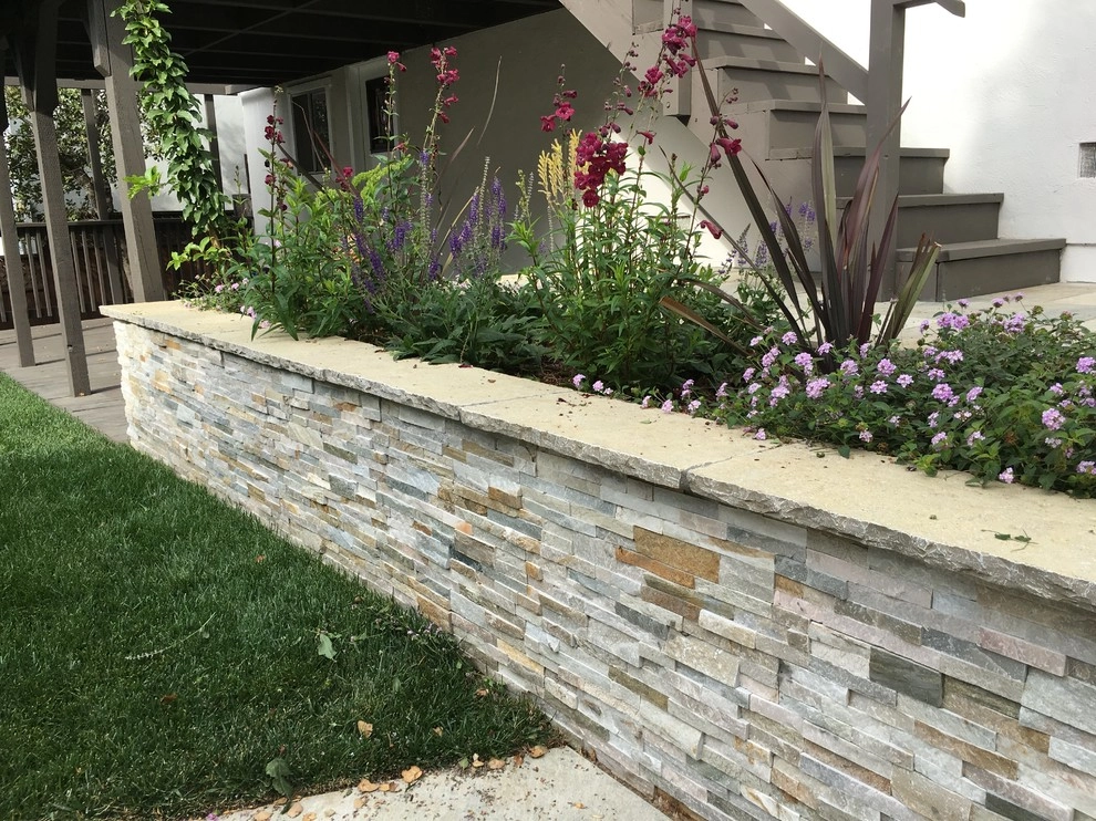 Belmont Back Yard by Greensleeves Garden Design - Photo 3