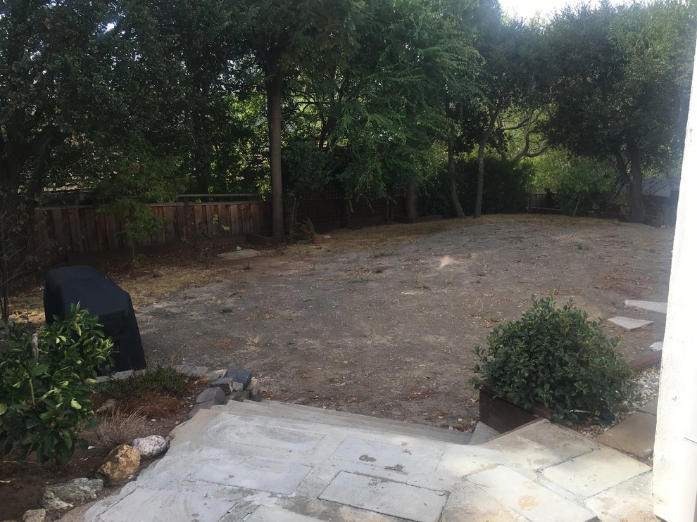Belmont Back Yard by Greensleeves Garden Design - Photo 6
