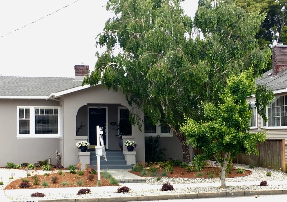 Burlingame - no lawn garden by Greensleeves Garden Design - Photo 3