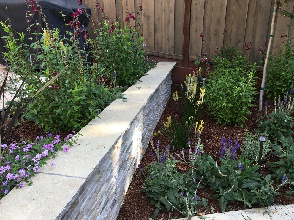 Belmont Back Yard by Greensleeves Garden Design - Photo 8