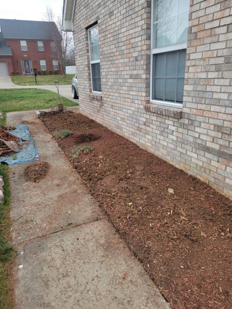 Alberto Alavez Professional Lawn Services LLC 11 by Alberto Alavez Professional Lawn Services LLC - Photo 4
