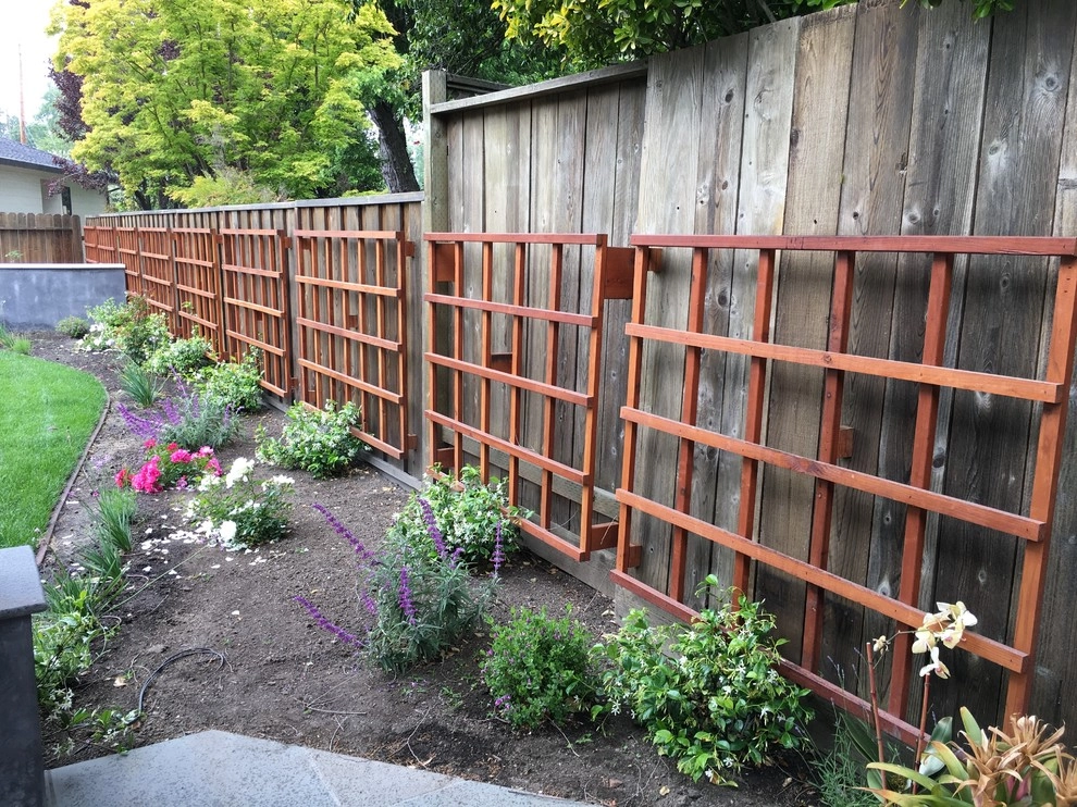 Atherton Back Yard by Greensleeves Garden Design - Photo 7