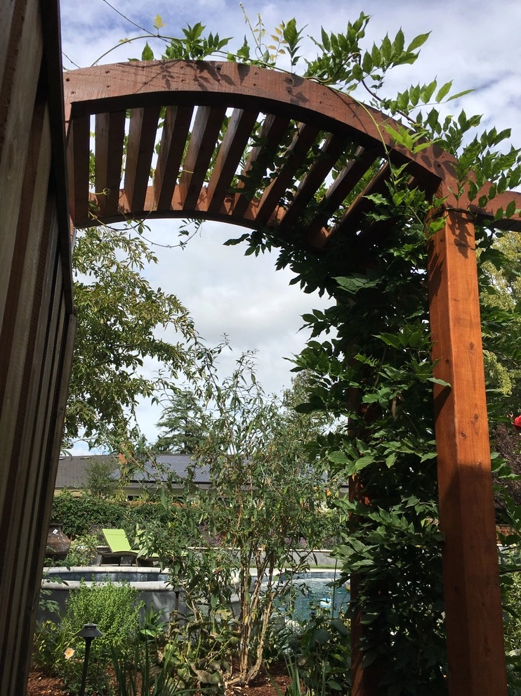 Atherton Back Yard by Greensleeves Garden Design - Photo 6