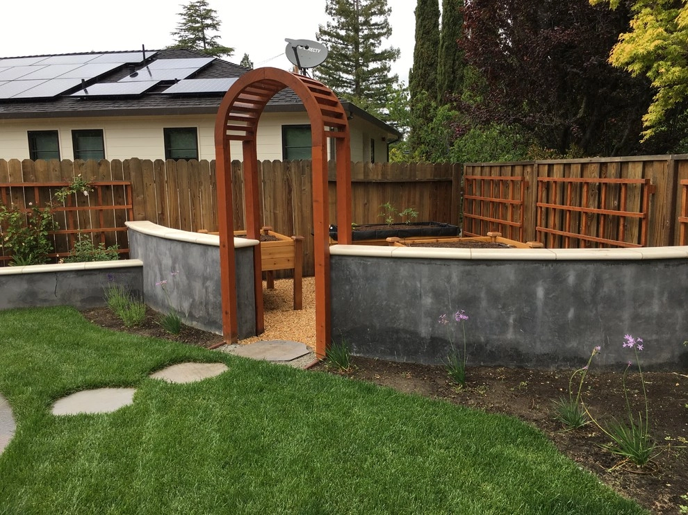 Atherton Back Yard by Greensleeves Garden Design - Photo 9
