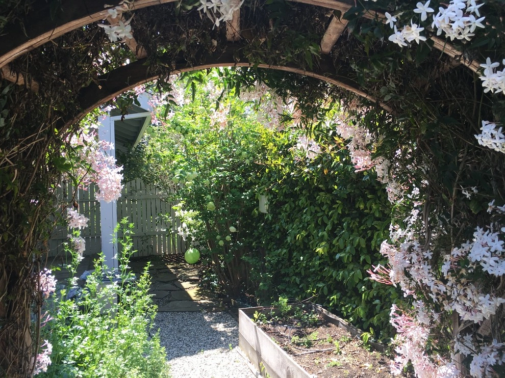 Vegetable garden and quiet patio by Greensleeves Garden Design - Photo 4