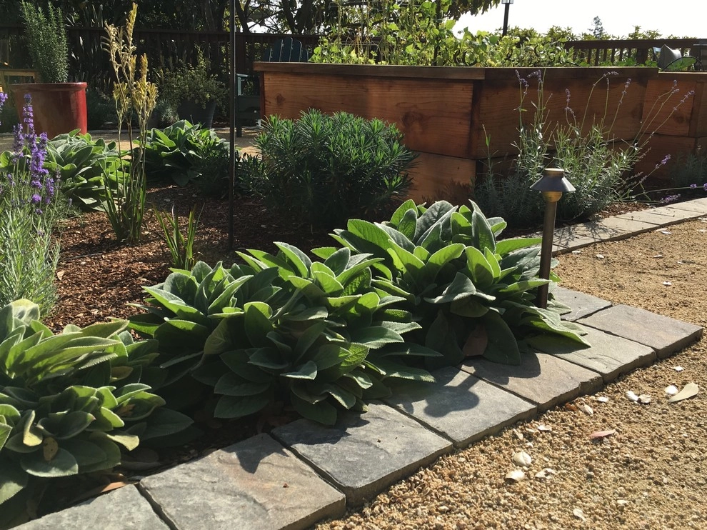 Provence on the Peninsula by Greensleeves Garden Design - Photo 4