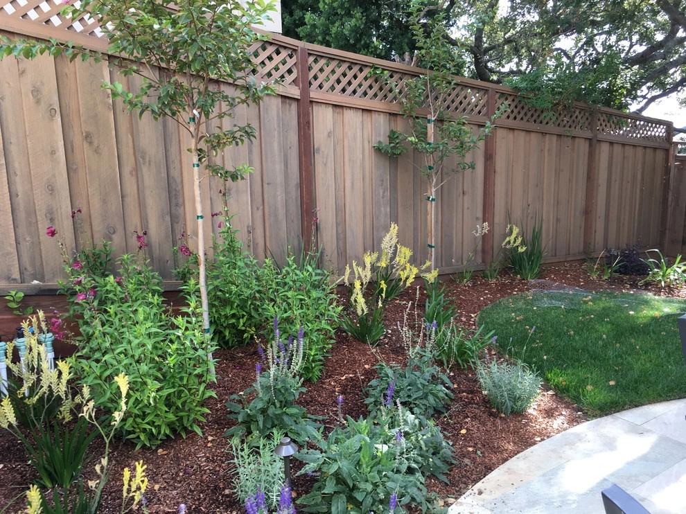 Belmont Back Yard by Greensleeves Garden Design - Photo 4