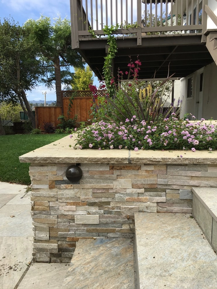 Belmont Back Yard by Greensleeves Garden Design - Photo 7