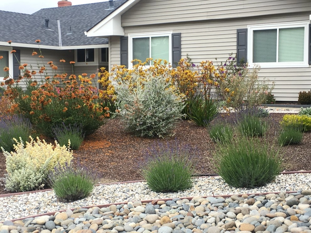 Belmont - drought tolerant by Greensleeves Garden Design - Photo 3