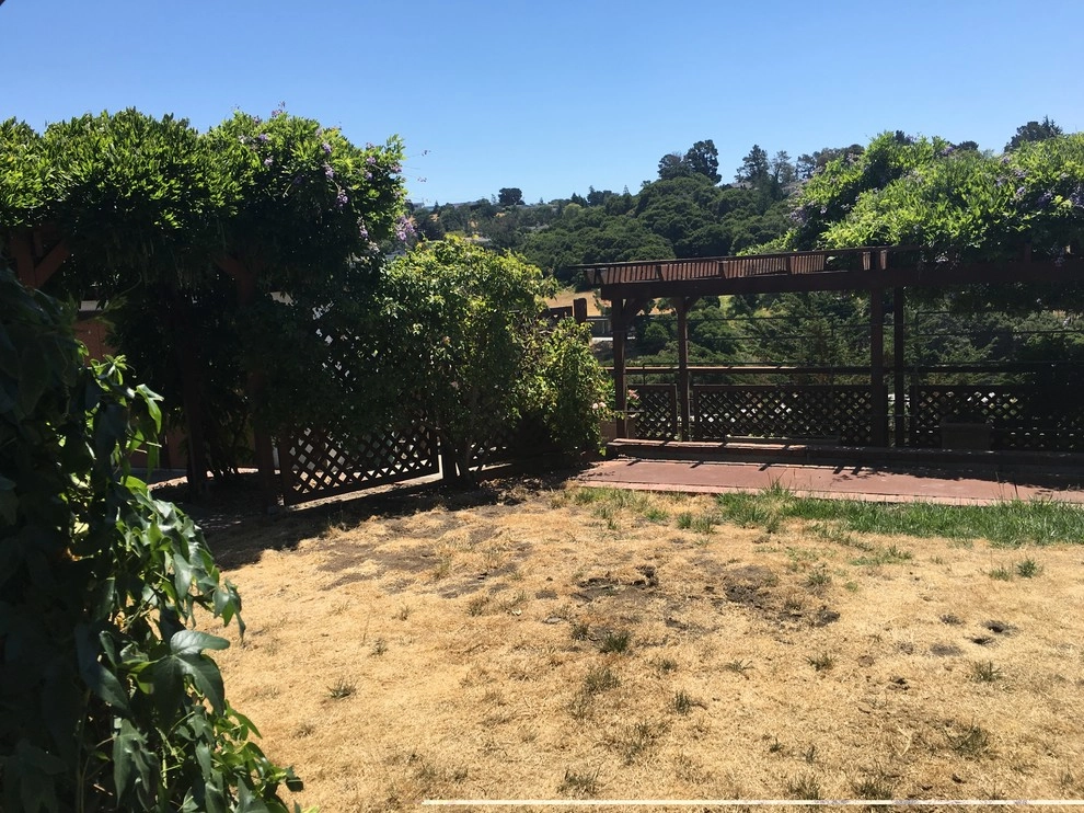 San Mateo - hillside garden by Greensleeves Garden Design - Photo 3