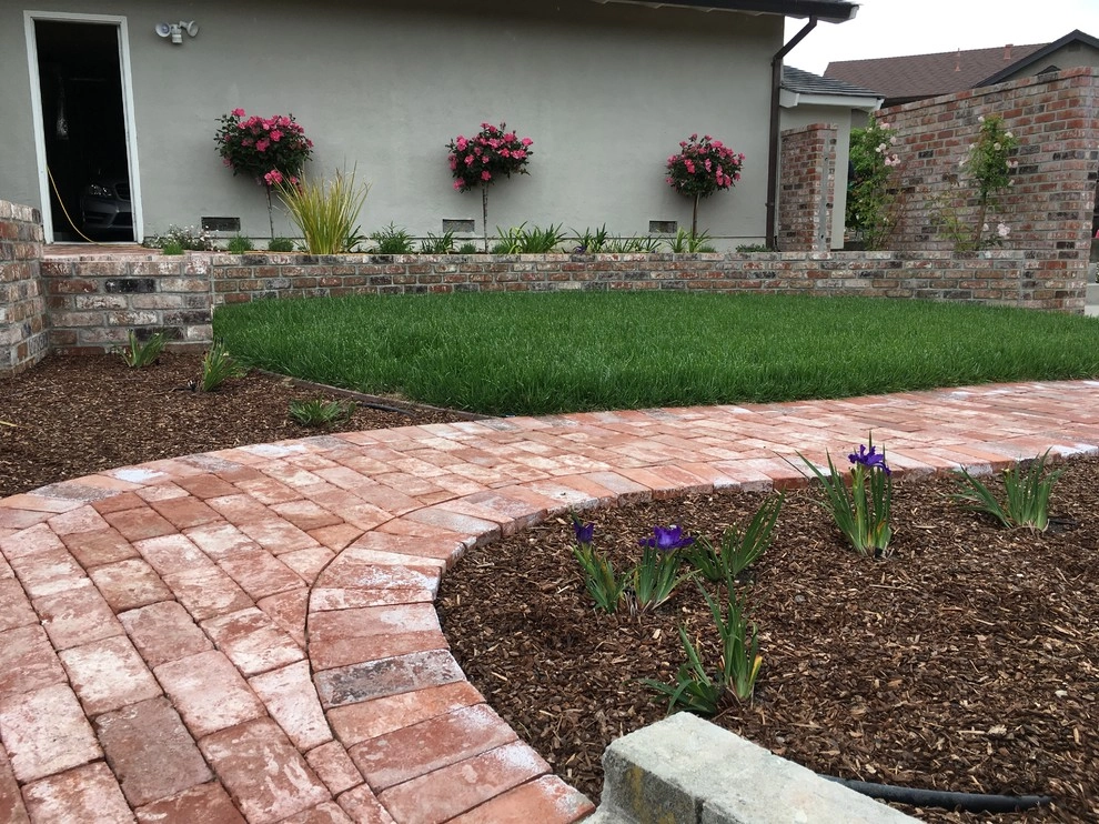 San Mateo - hillside garden by Greensleeves Garden Design - Photo 4