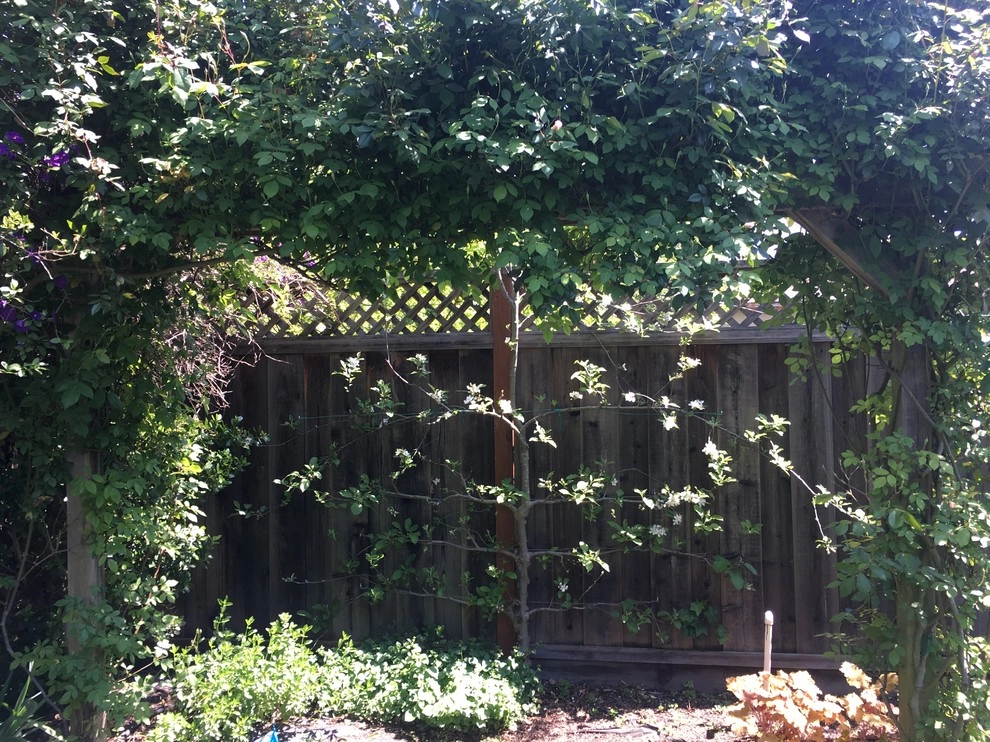 Greensleeves Garden Design - Photo 13