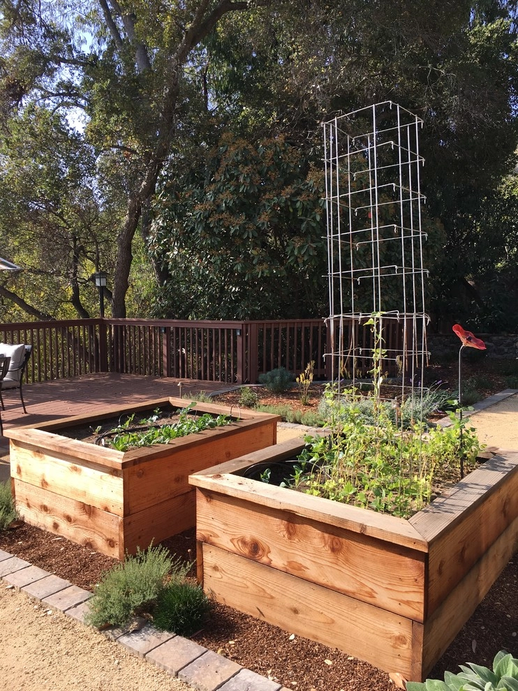 Provence on the Peninsula by Greensleeves Garden Design - Photo 8