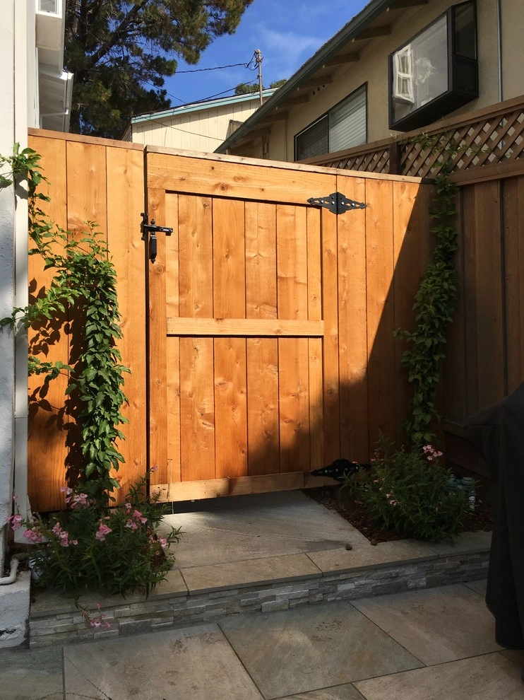Belmont Back Yard by Greensleeves Garden Design - Photo 2