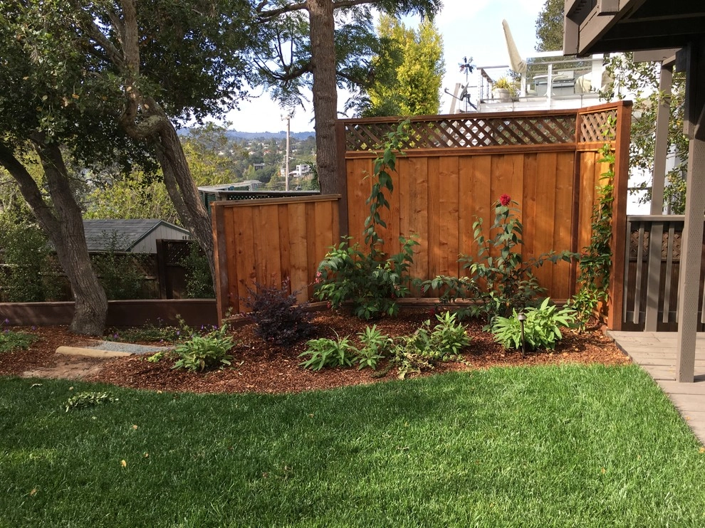 Belmont Back Yard by Greensleeves Garden Design - Photo 12