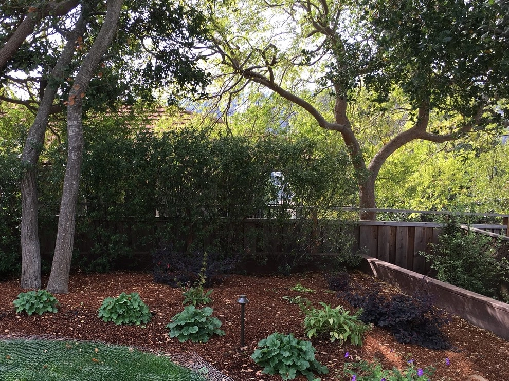 Belmont Back Yard by Greensleeves Garden Design - Photo 10