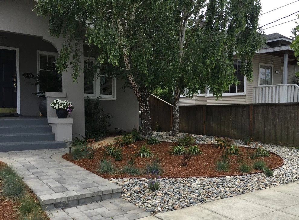 Burlingame - no lawn garden by Greensleeves Garden Design - Photo 4