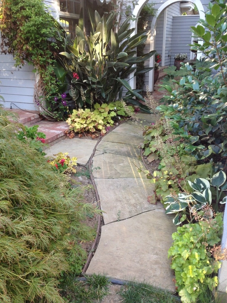 Side yard, Los Altos by Greensleeves Garden Design - Photo 2