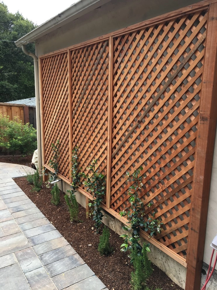 Belmont Family Garden by Greensleeves Garden Design - Photo 2