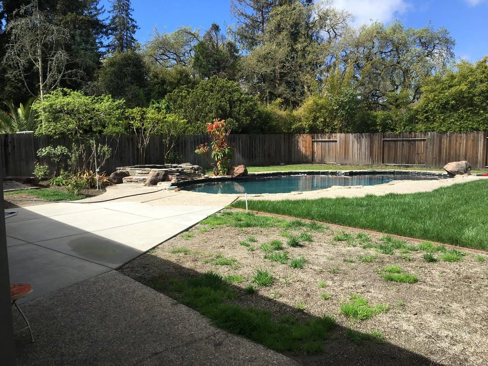 Atherton Back Yard by Greensleeves Garden Design - Photo 2