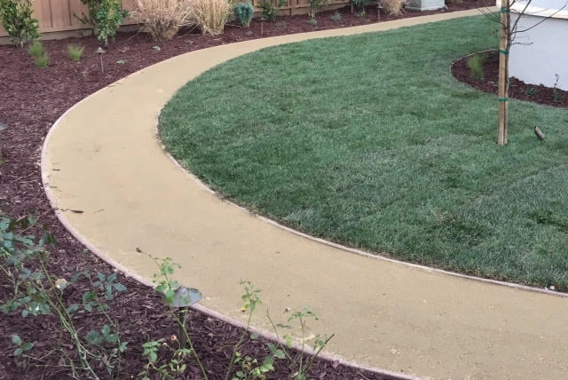 Los Altos Back Garden by Greensleeves Garden Design - Photo 13