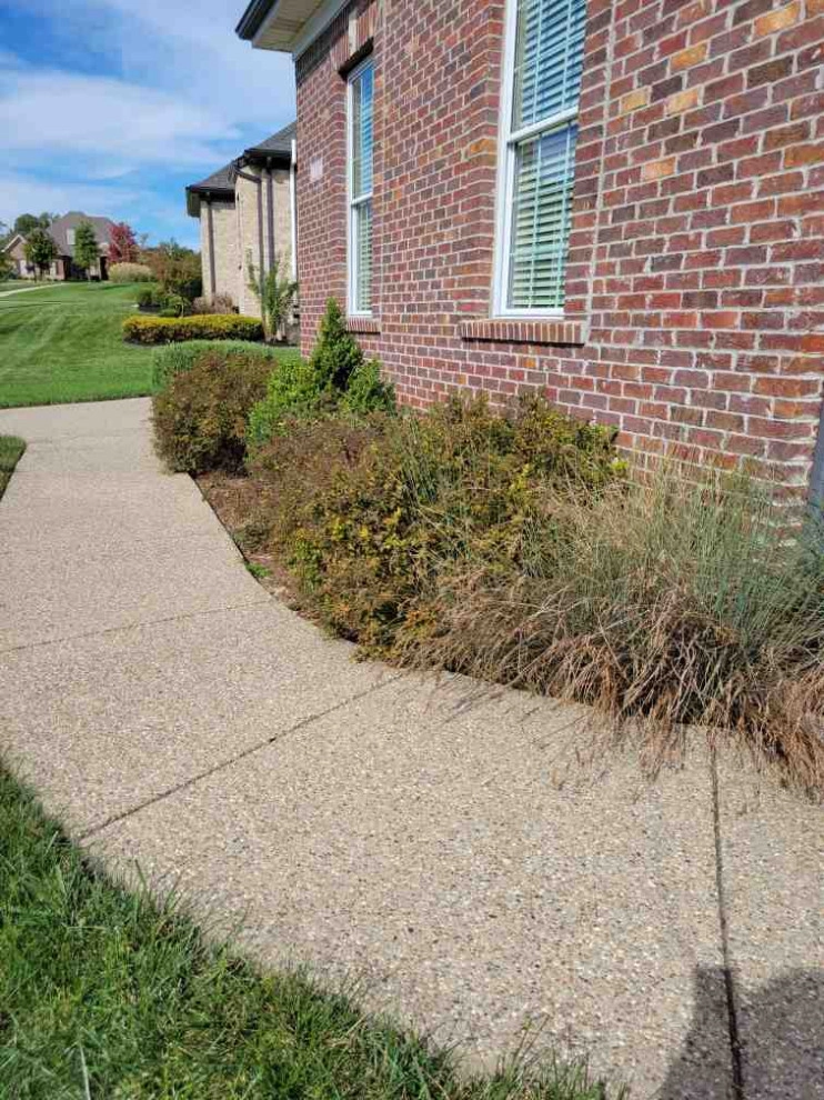 Alberto Alavez Professional Lawn Services LLC 6 by Alberto Alavez Professional Lawn Services LLC - Photo 14
