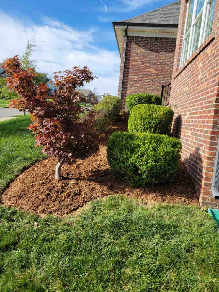 Alberto Alavez Professional Lawn Services LLC 6 by Alberto Alavez Professional Lawn Services LLC - Photo 28