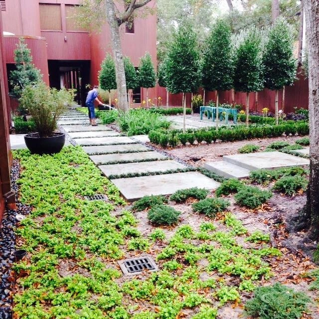 Contemporary Pool, Landscape & Decking in Houston, TX by Gregory/Henry Landscapes - Photo 2