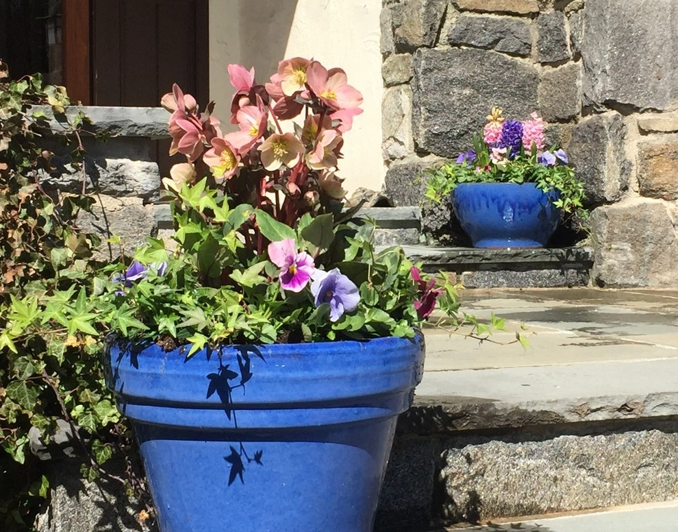 Seasonal Color by Gro Pro Landscape Company Inc. - Photo 45