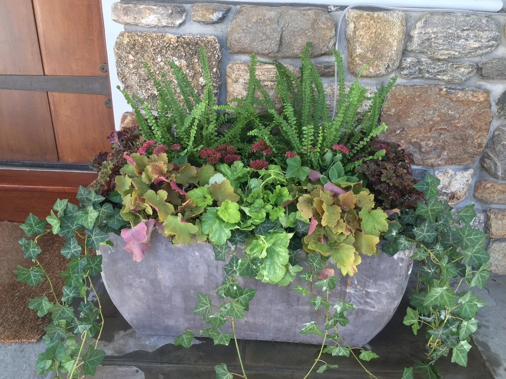 Seasonal Color by Gro Pro Landscape Company Inc. - Photo 6