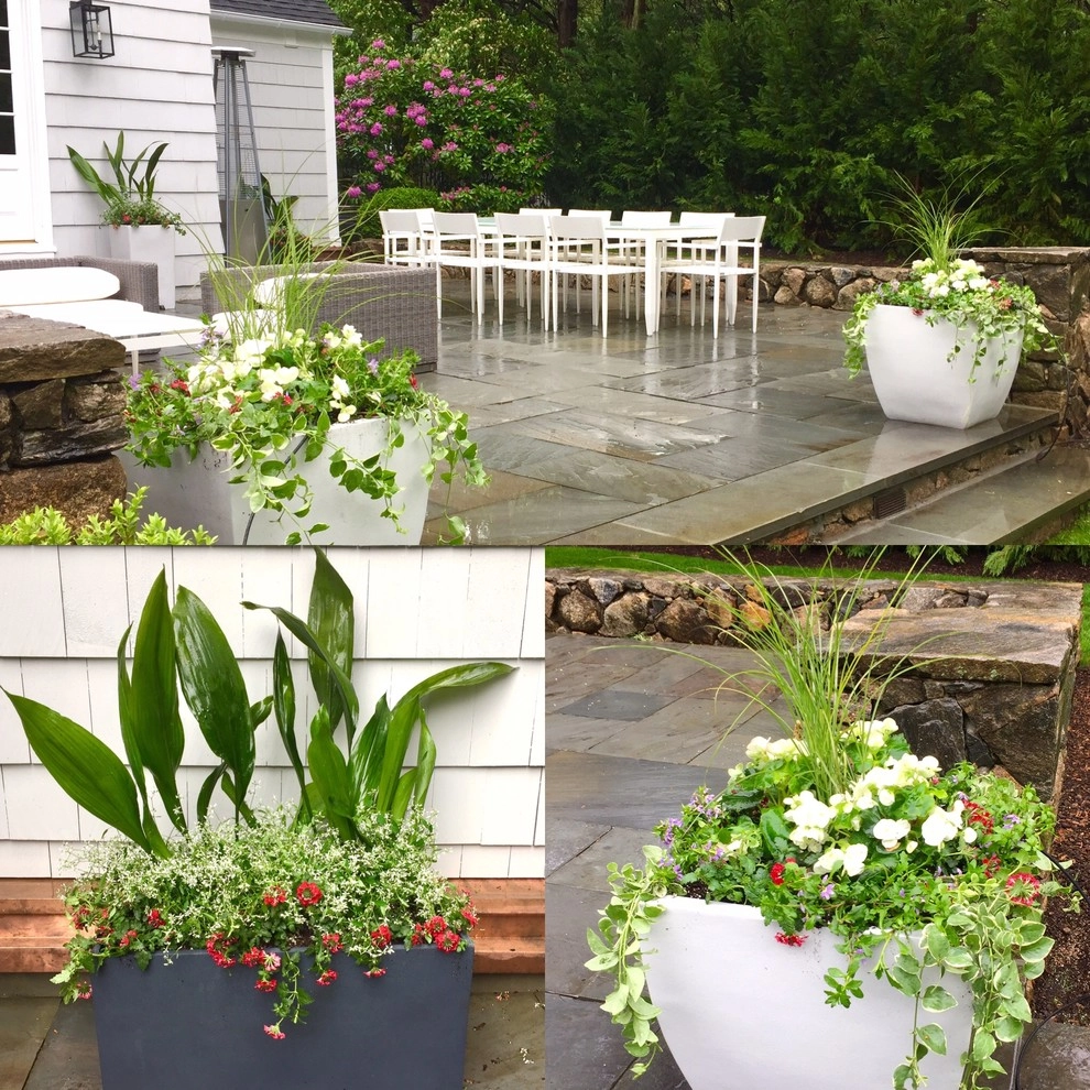 Seasonal Color by Gro Pro Landscape Company Inc. - Photo 51