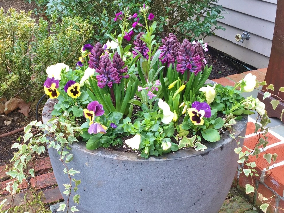 Seasonal Color by Gro Pro Landscape Company Inc. - Photo 20