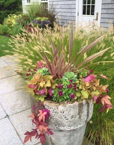 Seasonal Color by Gro Pro Landscape Company Inc. - Photo 41