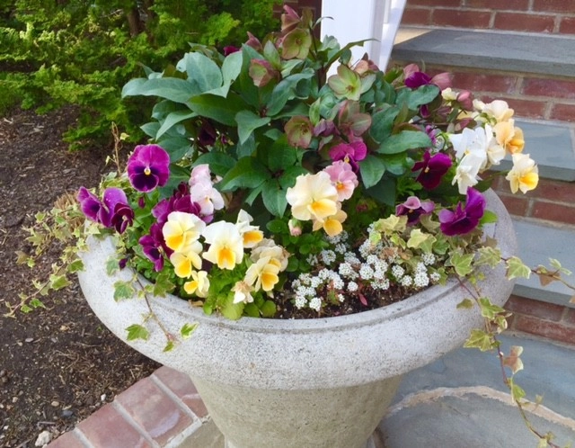 Seasonal Color by Gro Pro Landscape Company Inc. - Photo 22