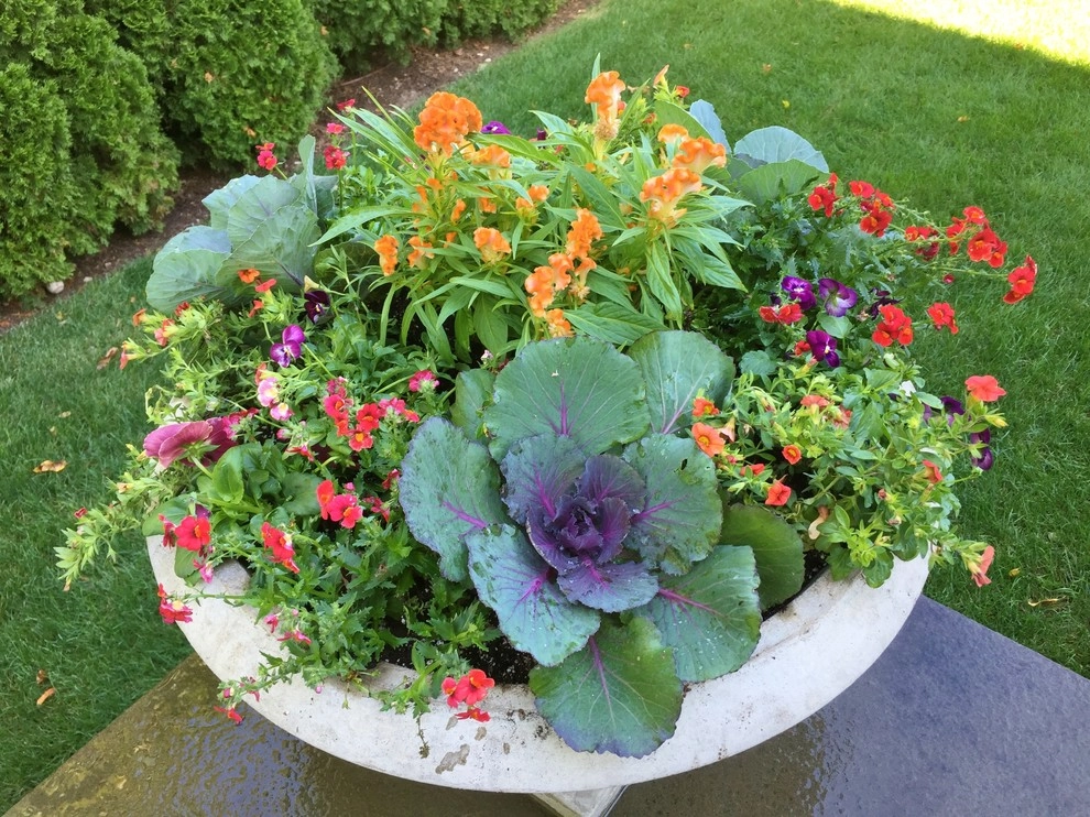 Seasonal Color by Gro Pro Landscape Company Inc. - Photo 19