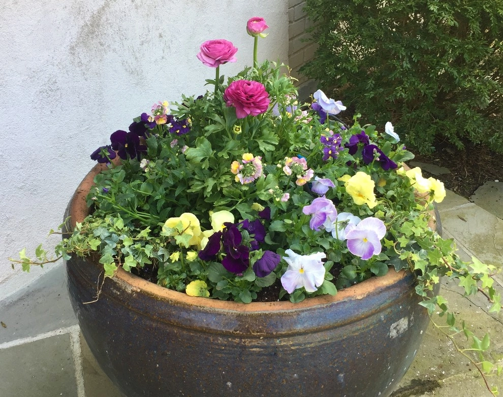 Seasonal Color by Gro Pro Landscape Company Inc. - Photo 39