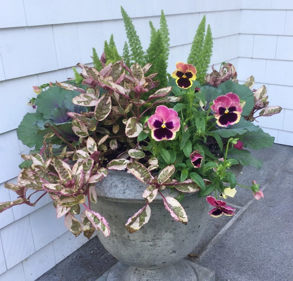 Seasonal Color by Gro Pro Landscape Company Inc. - Photo 57