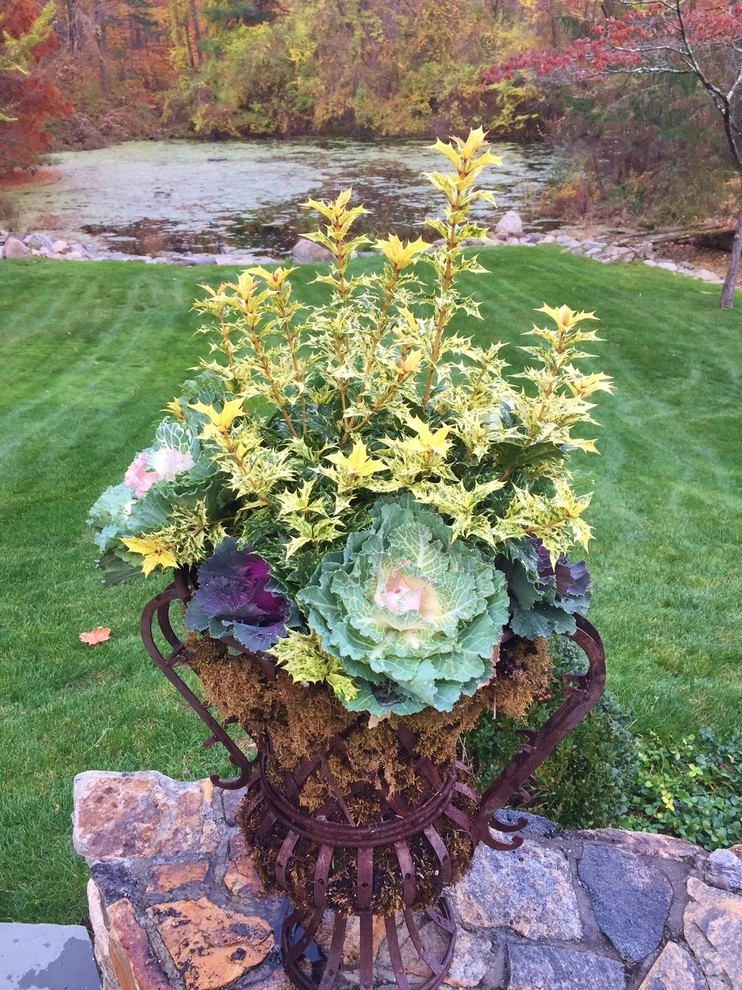 Seasonal Color by Gro Pro Landscape Company Inc. - Photo 8