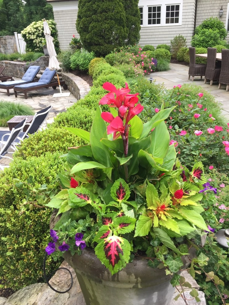 Seasonal Color by Gro Pro Landscape Company Inc. - Photo 37