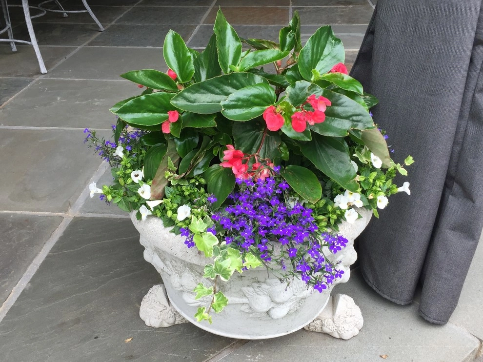 Seasonal Color by Gro Pro Landscape Company Inc. - Photo 33