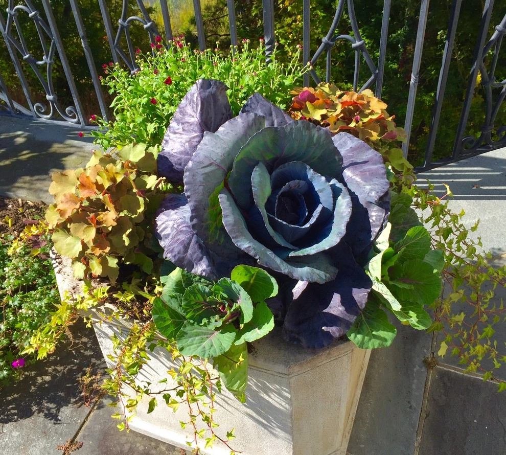 Seasonal Color by Gro Pro Landscape Company Inc. - Photo 59