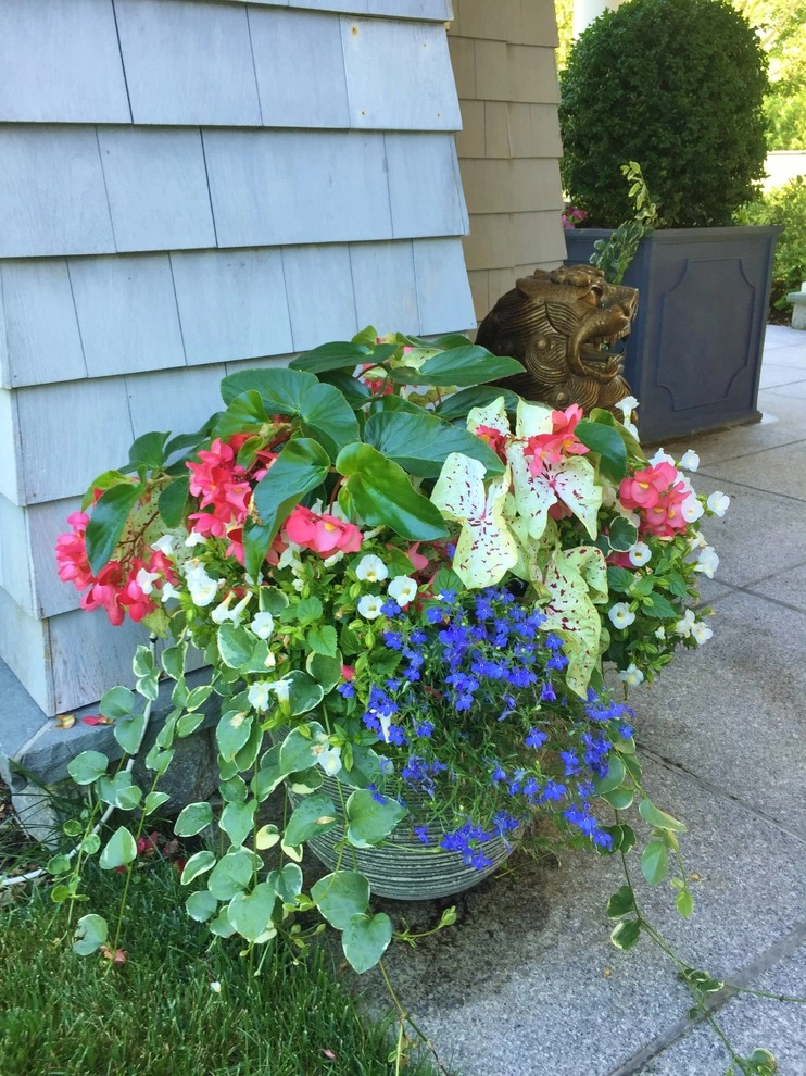 Seasonal Color by Gro Pro Landscape Company Inc. - Photo 48