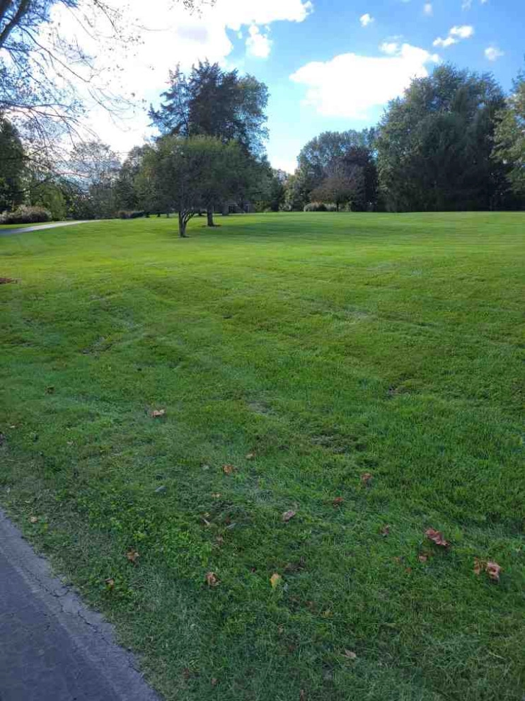 Alberto Alavez Professional Lawn Services LLC 6 by Alberto Alavez Professional Lawn Services LLC - Photo 26