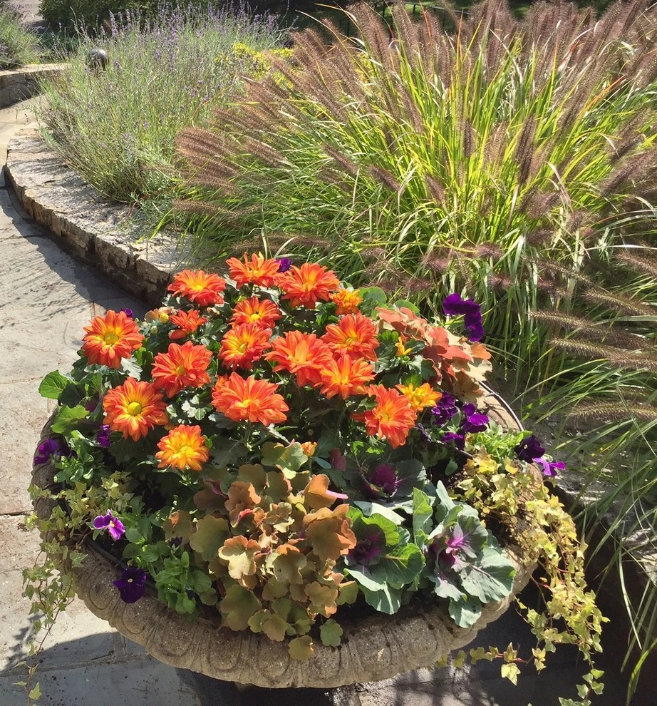 Seasonal Color by Gro Pro Landscape Company Inc. - Photo 31