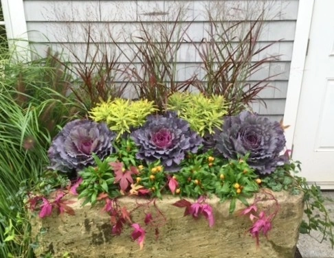 Seasonal Color by Gro Pro Landscape Company Inc. - Photo 44