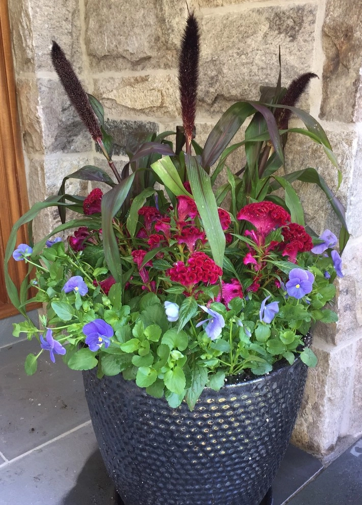 Seasonal Color by Gro Pro Landscape Company Inc. - Photo 43