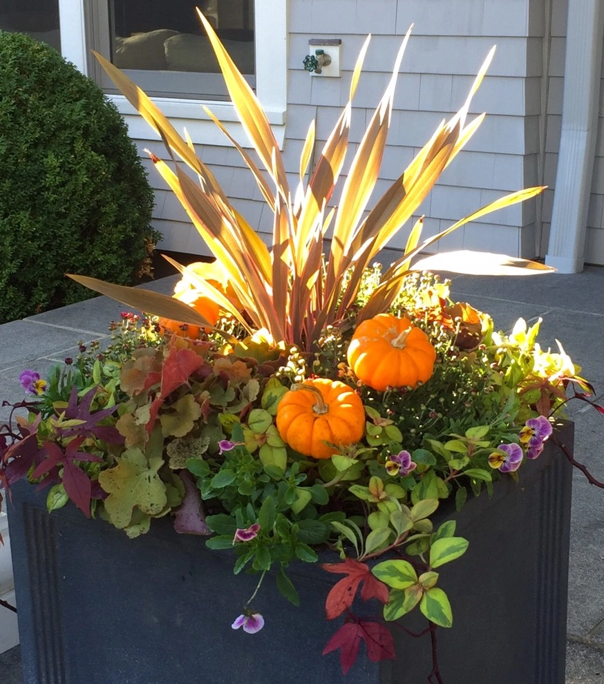 Seasonal Color by Gro Pro Landscape Company Inc. - Photo 15