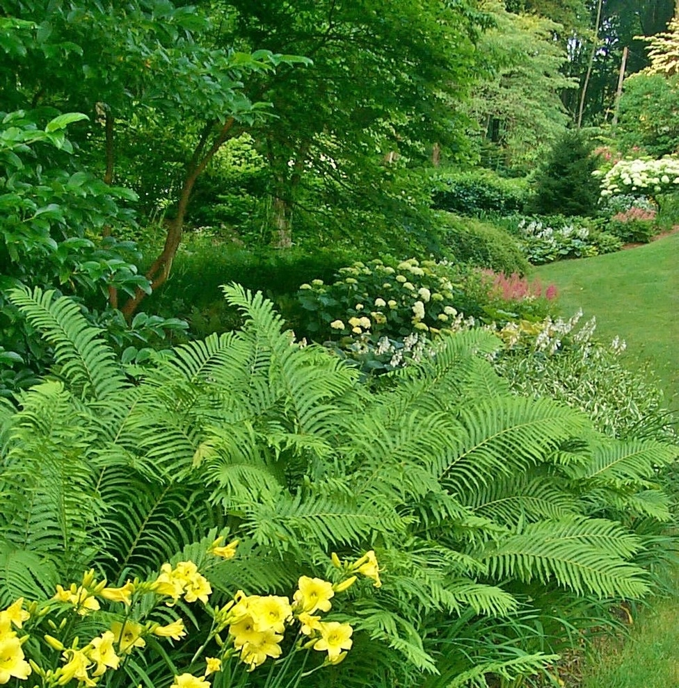 Our Gardens by Gro Pro Landscape Company Inc. - Photo 10